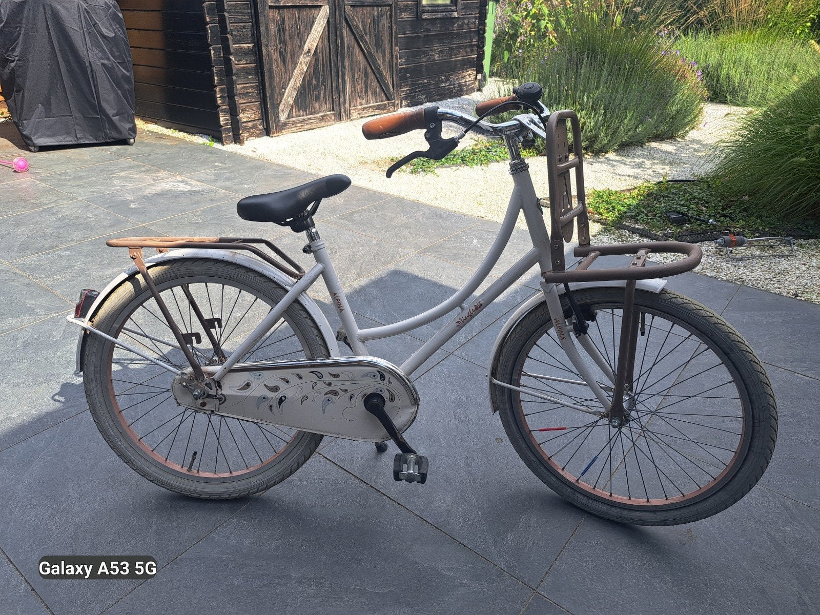 Meisjes fiets 22 inch, Ophalen, Gebruikt, Alpina