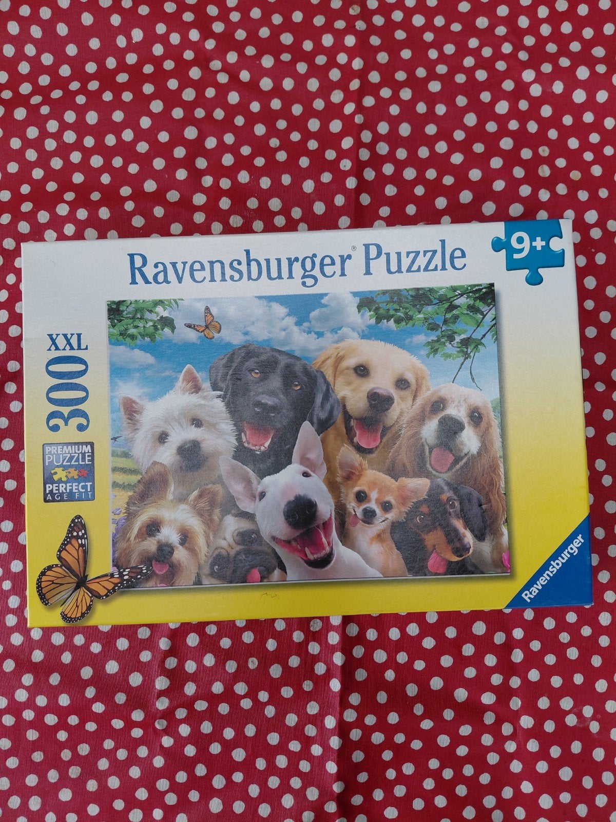 Leuke puzzel van Ravensburger, 300 stukjes, Ophalen, Meer dan 50 stukjes, Zo goed als nieuw, 6 jaar of ouder
