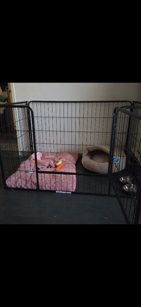 Bench/werpkist, ideaal voor kittens of puppy's, Dieren en Toebehoren, Ophalen, Zo goed als nieuw