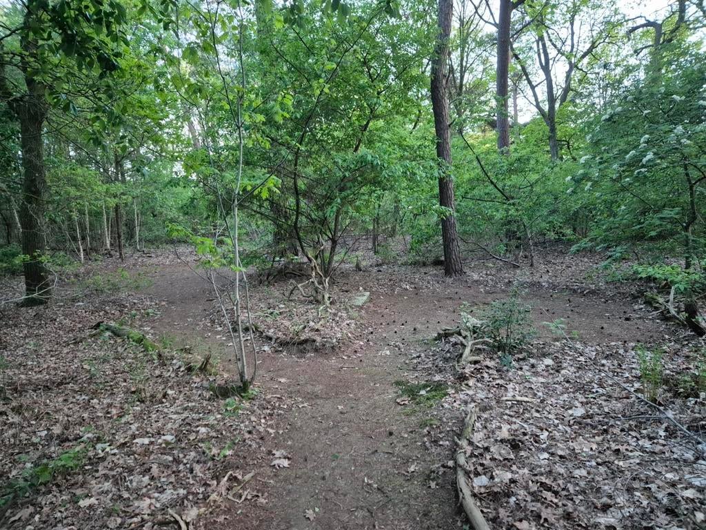 Overnachten en kamperen direct aan de stippelbergse bossen!