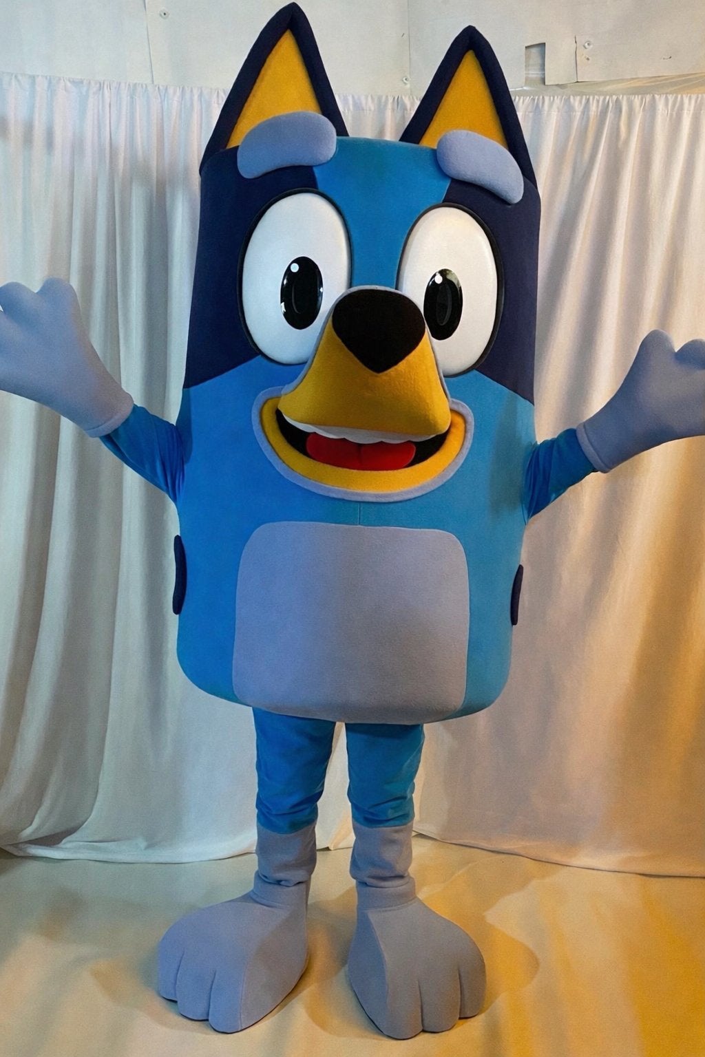 BLUEY MASCOTTE VERHUUR, Hobby en Vrije tijd, Ophalen of Verzenden, Nieuw, Verjaardag
