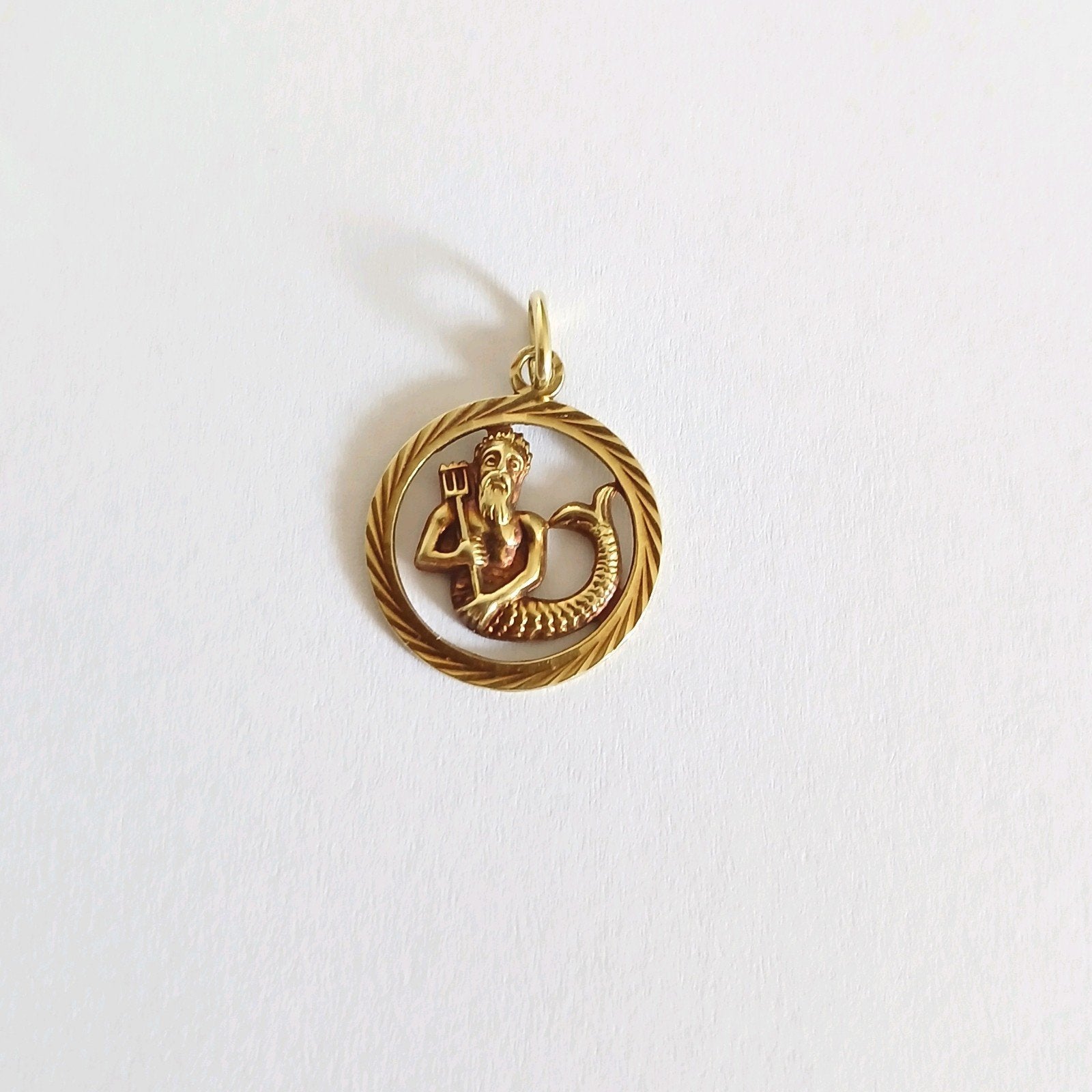 Gouden hanger 585 (14 karaat) met Waterman horoscoop, Overige voorstellingen, Ophalen of Verzenden, Zo goed als nieuw, Goud