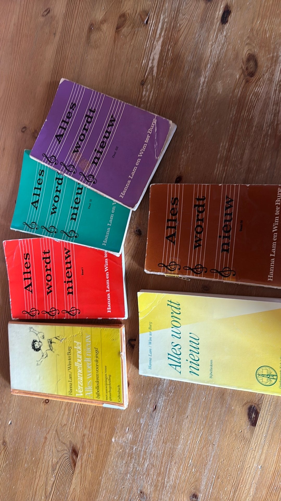 6 oude boekjes Hanna Lam / Wim ter Burg, Ophalen of Verzenden, Zo goed als nieuw, Les of Cursus