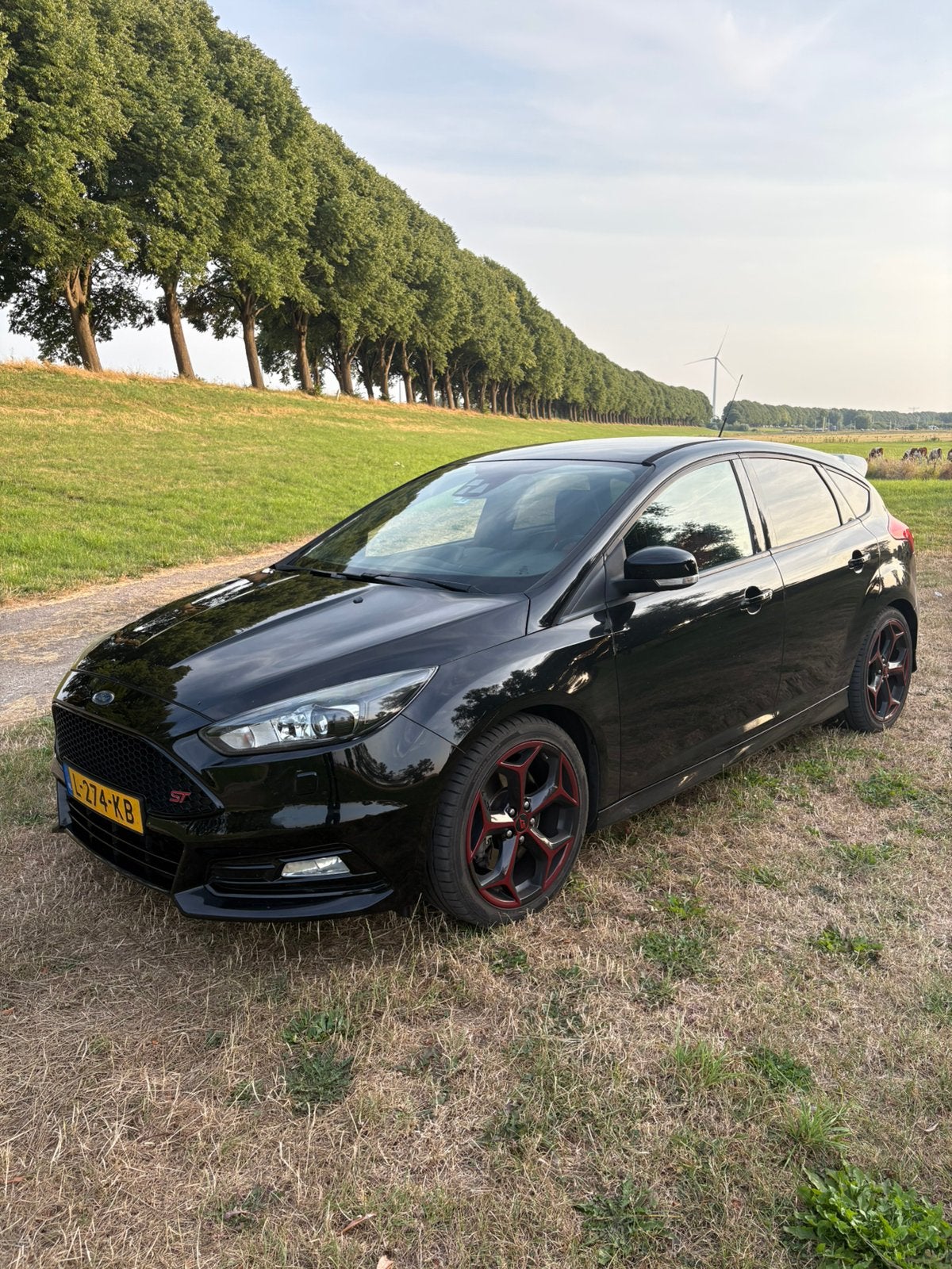 Ford Focus 2.0 ST | 250 PK | Zwart | MK 3.5 | Dealer Onderho, Auto's, 15 km/l, Zwart, 4 cilinders, Zwart