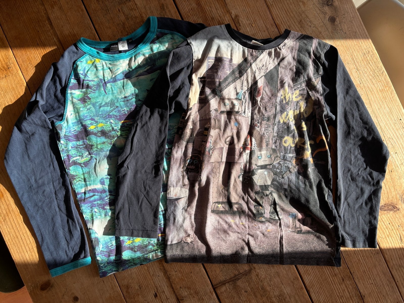 2 Molo Longsleeve T-shirts Maat 152, Ophalen of Verzenden, Gebruikt, Jongen of Meisje, Shirt of Longsleeve