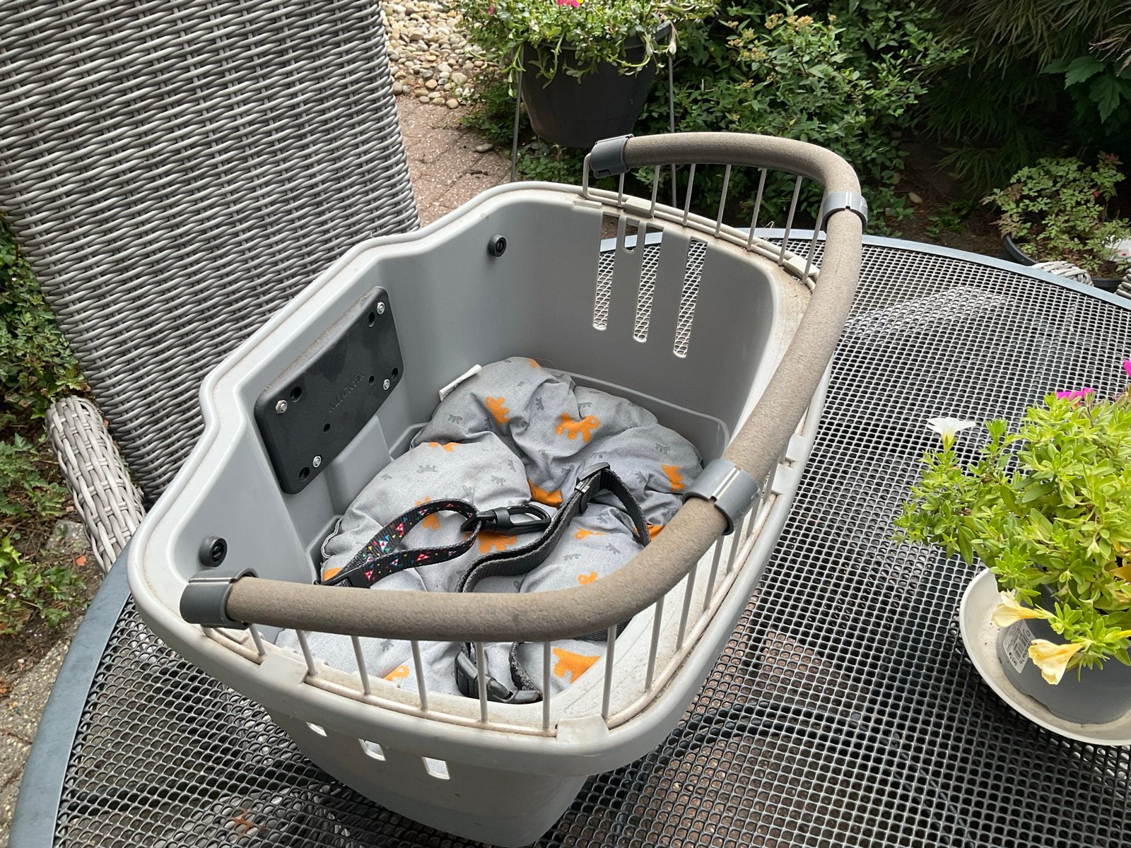 Hondenmandje voor kleine hond op de fiets (Hengelo), Ophalen of Verzenden, Gebruikt, Hondenkar, Minder dan 20 kg