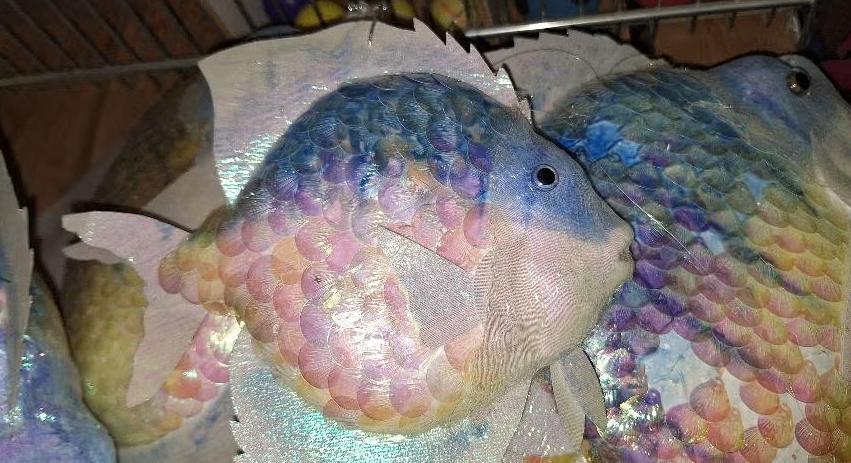 Regenboogvissen & schelp – glimmend, Ophalen of Verzenden, Gebruikt, Wanddecoratie