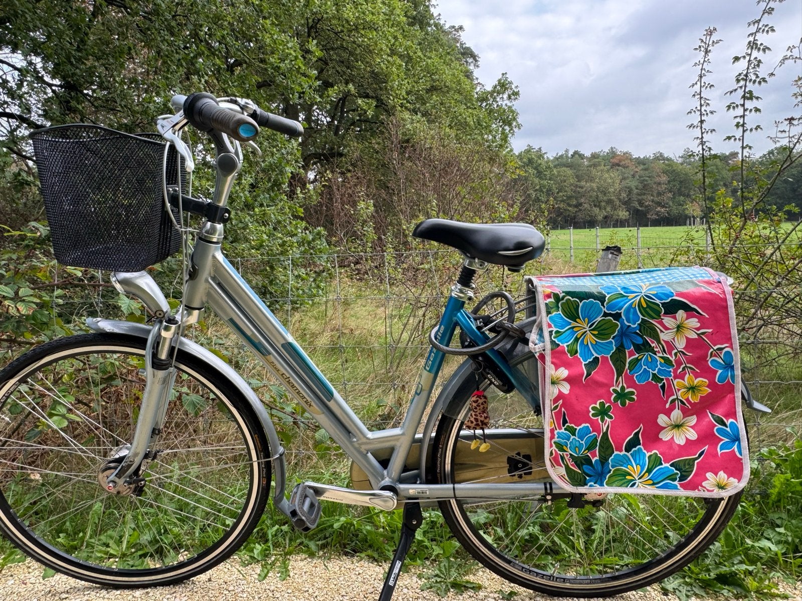 Gazelle Chamonix Plus Damesfiets - 7 versnellingen