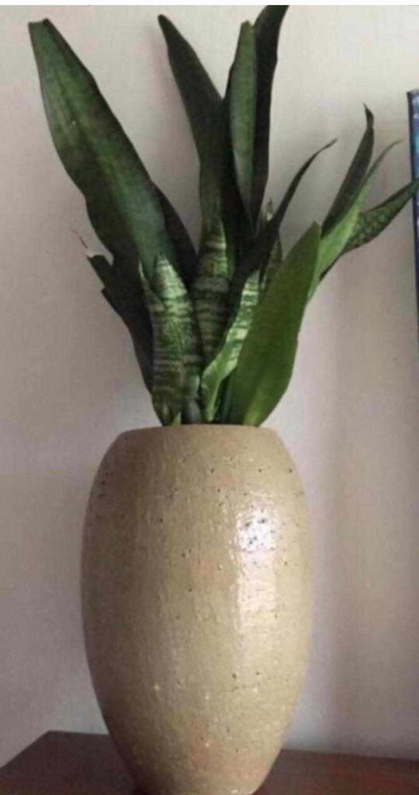 Grote Olijfgroene Terracotta Vazen 36cm Handwerk bloempotten, Ophalen, Rond, Binnen, Zo goed als nieuw