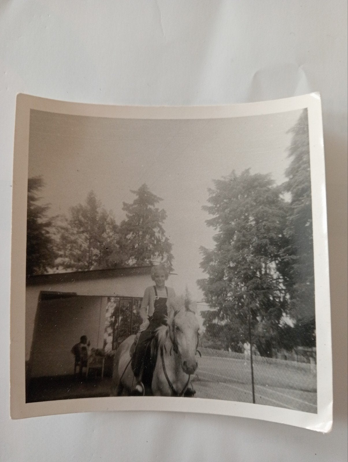 Ruiter te paard jaren 40-60, Ophalen of Verzenden, 1940 tot 1960, Gebruikt