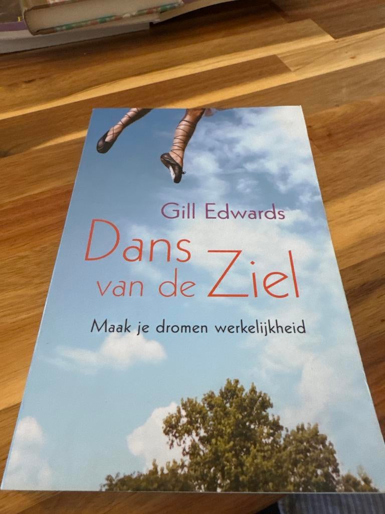 Dans van de Ziel - Maak je dromen werkelijkheid, Ophalen of Verzenden, Gelezen