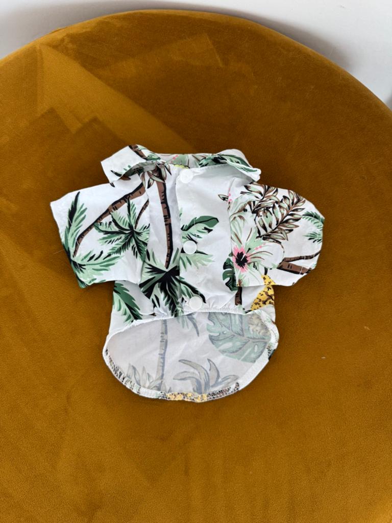 Blouse XXS nieuw, Ophalen, Nieuw
