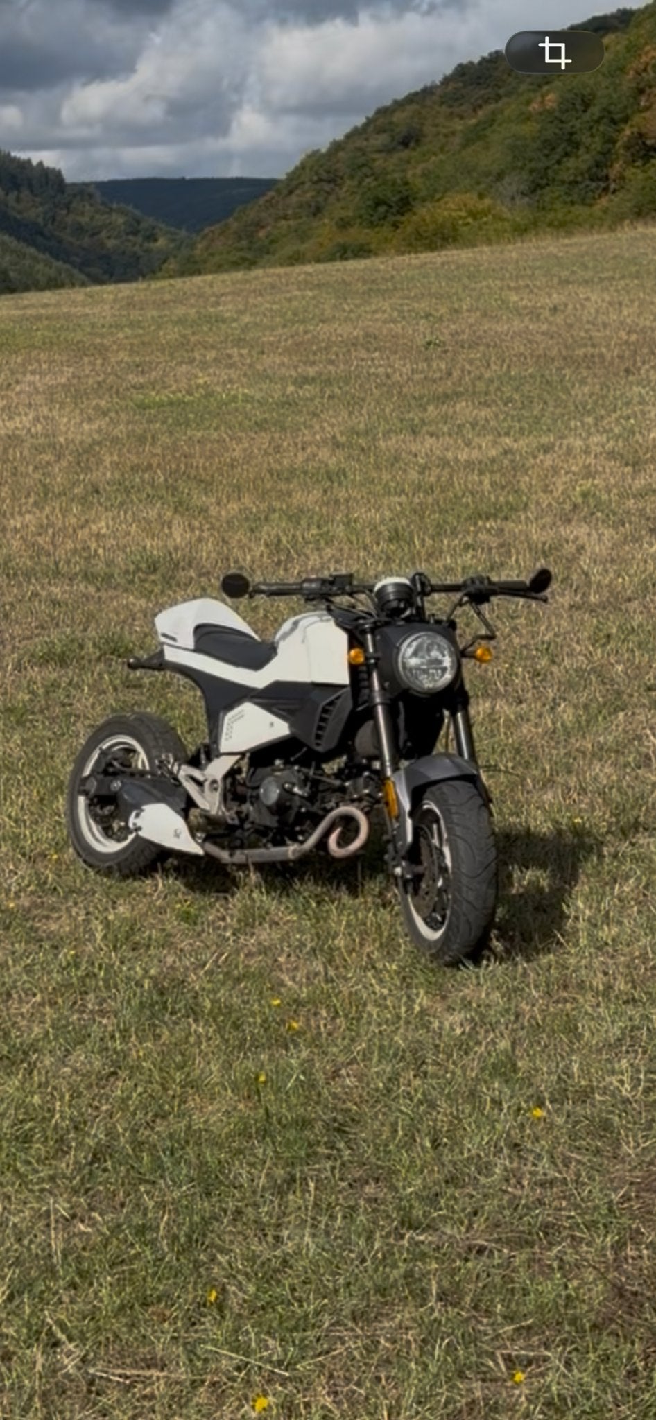 Honda Grom Imitatie 72cc Brommer - Nieuw Motorblok!, Ophalen, Zo goed als nieuw, Maximaal 45 km/u