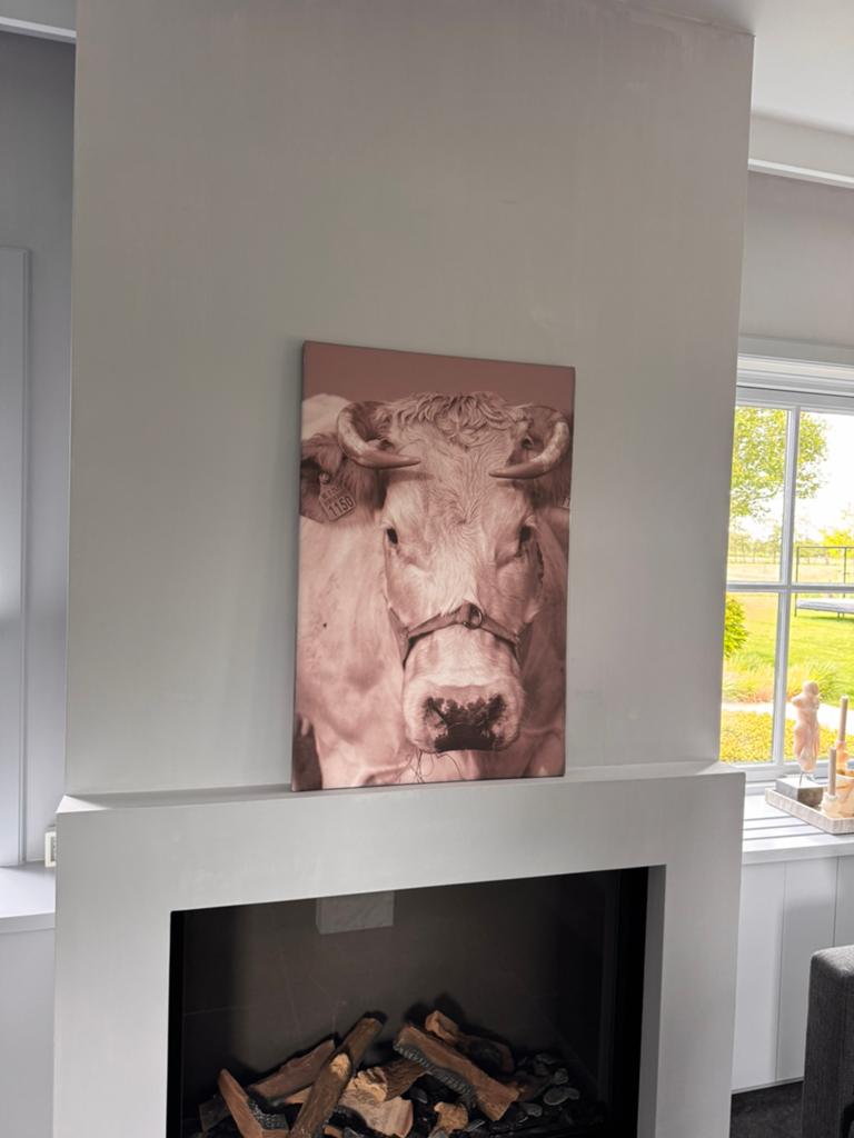 Canvas foto sepia, Hobby en Vrije tijd, Schilderen, Ophalen of Verzenden, Zo goed als nieuw