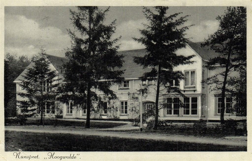 Nunspeet. Hoogwolde. - 195? gelopen, Ophalen of Verzenden, 1940 tot 1960, Gelopen, Gelderland