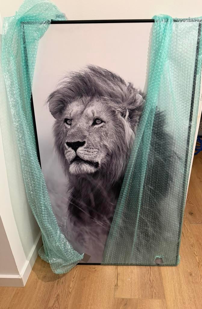 Leeuw en Buffel doeken Leen Bakker 120x70 cm, Ophalen of Verzenden, Zo goed als nieuw, Minder dan 50 cm, Schilderij