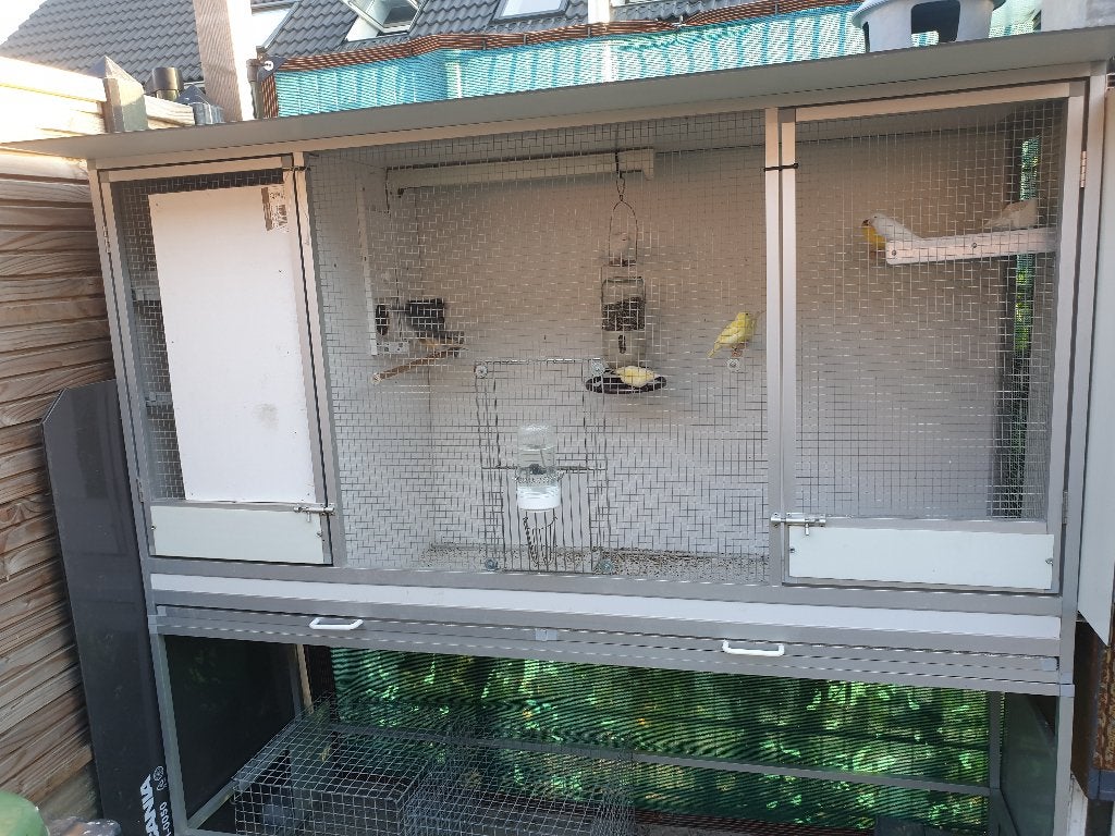 Volière met 8 kanaries, Dieren en Toebehoren, Ophalen, Zo goed als nieuw, Aluminium, Volière