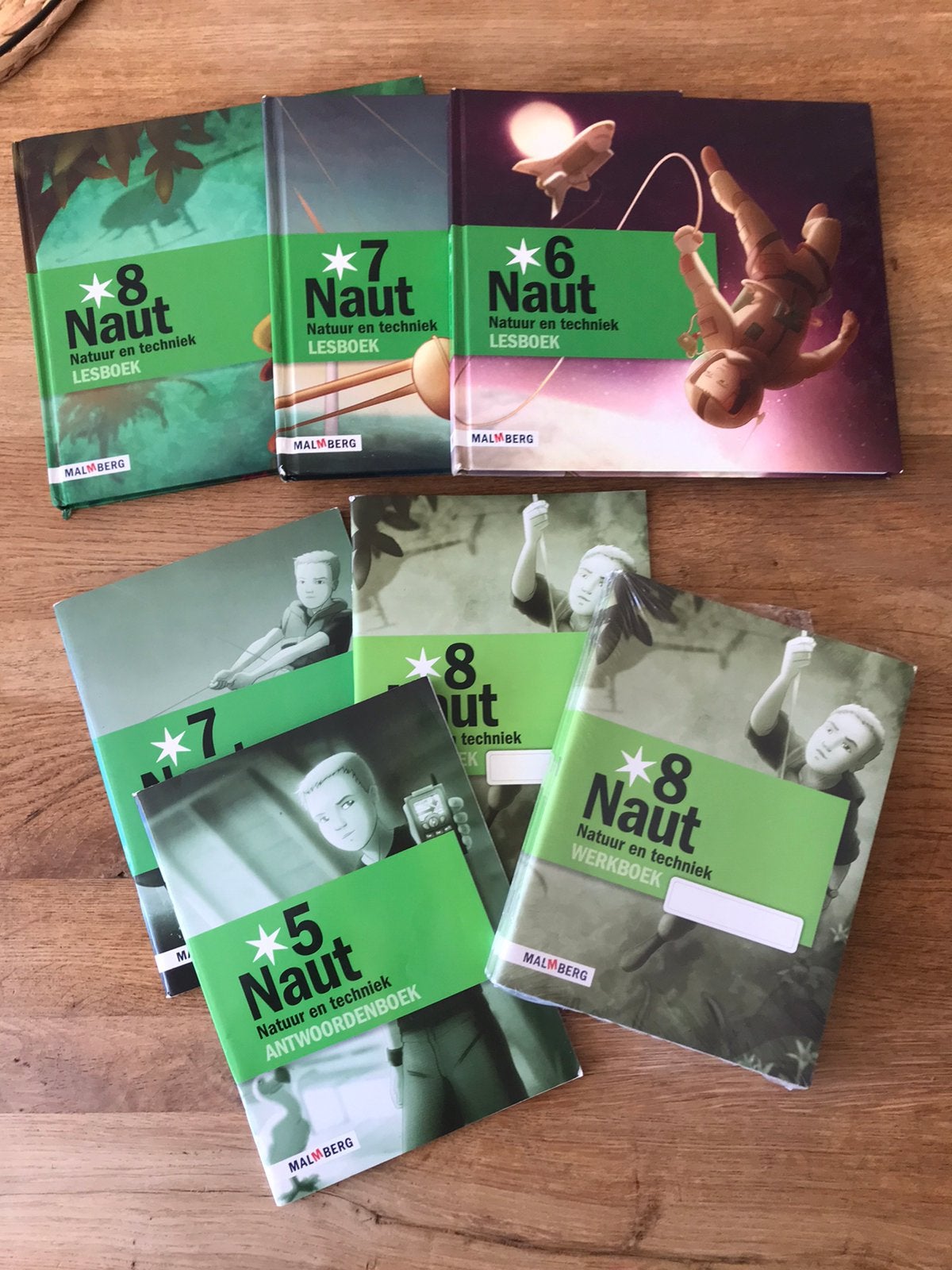 Naut, Ophalen of Verzenden, Zo goed als nieuw, Overige niveaus, Nederlands