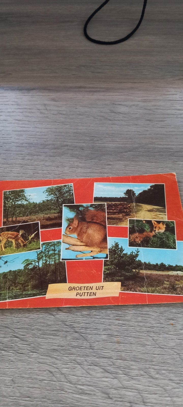 ansichtkaart putten, Ophalen of Verzenden