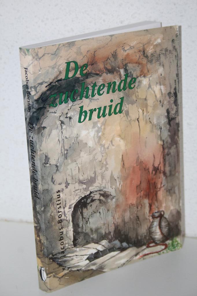 Jacobus Borstius - De zuchtende Bruid (vw. Ds. W. Verhoeks), Ophalen of Verzenden, Gelezen, Christendom | Protestants