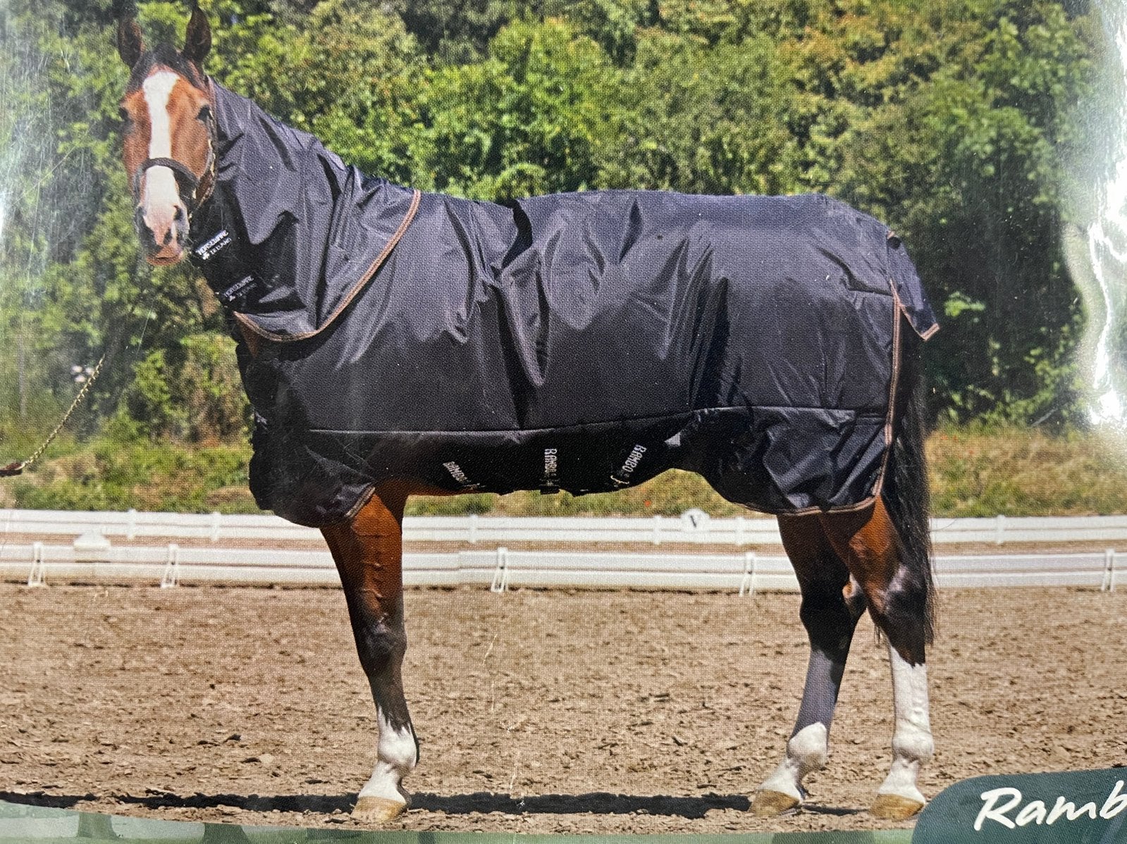 Nieuw Rambo XL Regendeken Zwart, bruine bies maat 140-6’3’’, Nieuw, Ophalen of Verzenden, Horseware, Regendeken