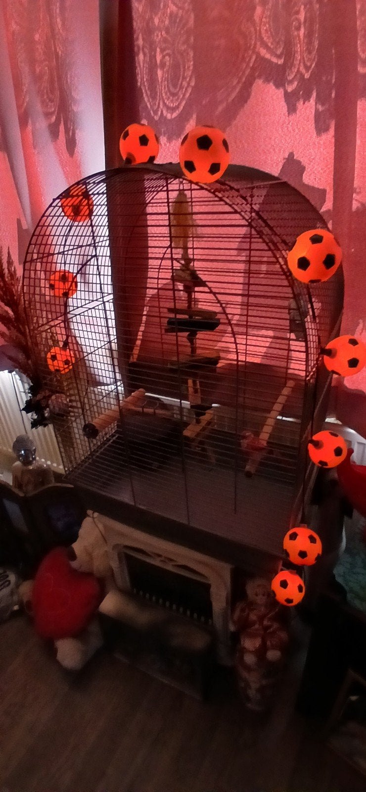 vogelkooi, Ophalen, Metaal, Vogelkooi