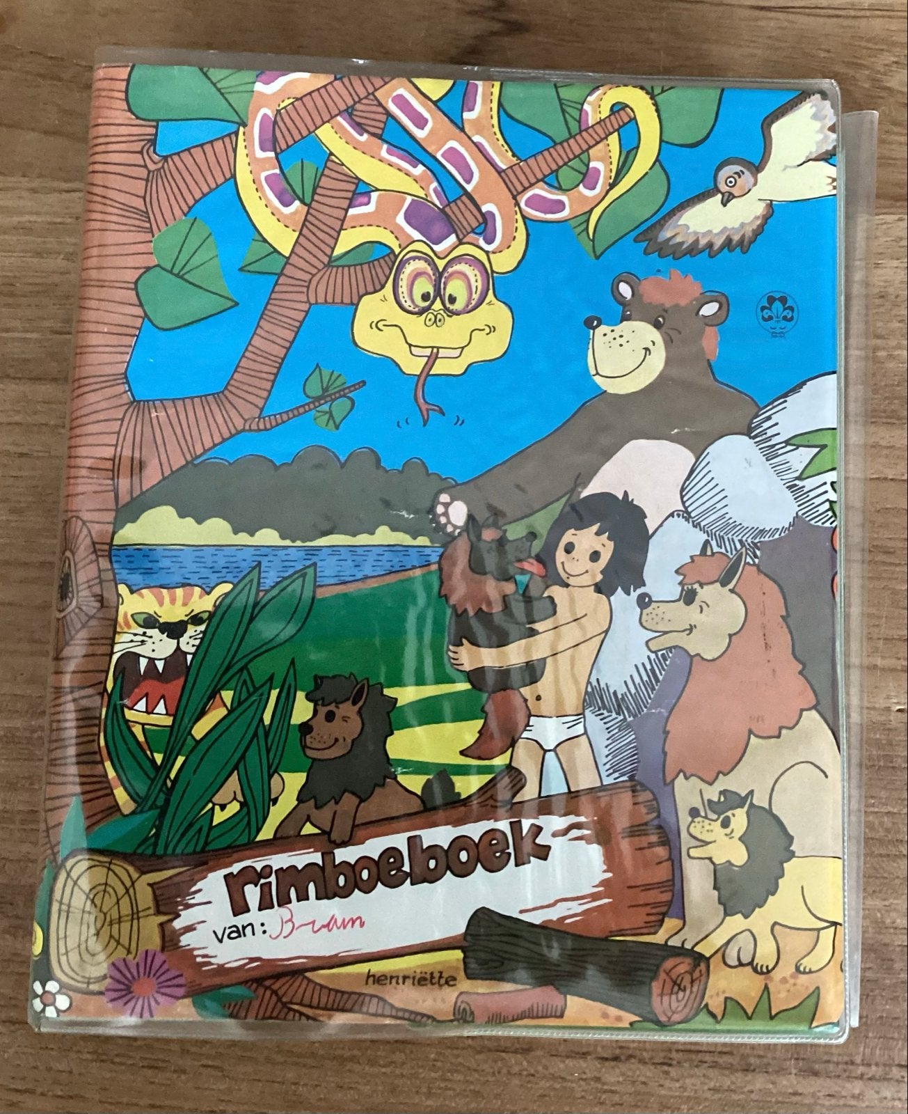 Scouting oud Rimboeboek welpen, Ophalen of Verzenden, Gelezen, Non-fictie