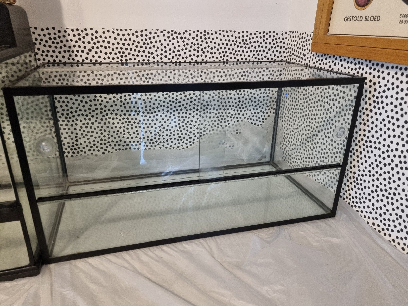 Terrarium hamsterhok 80x40x40 hamsterscaping looprad huisje, Gebruikt, Overige typen, Hamster, 75 tot 110 cm