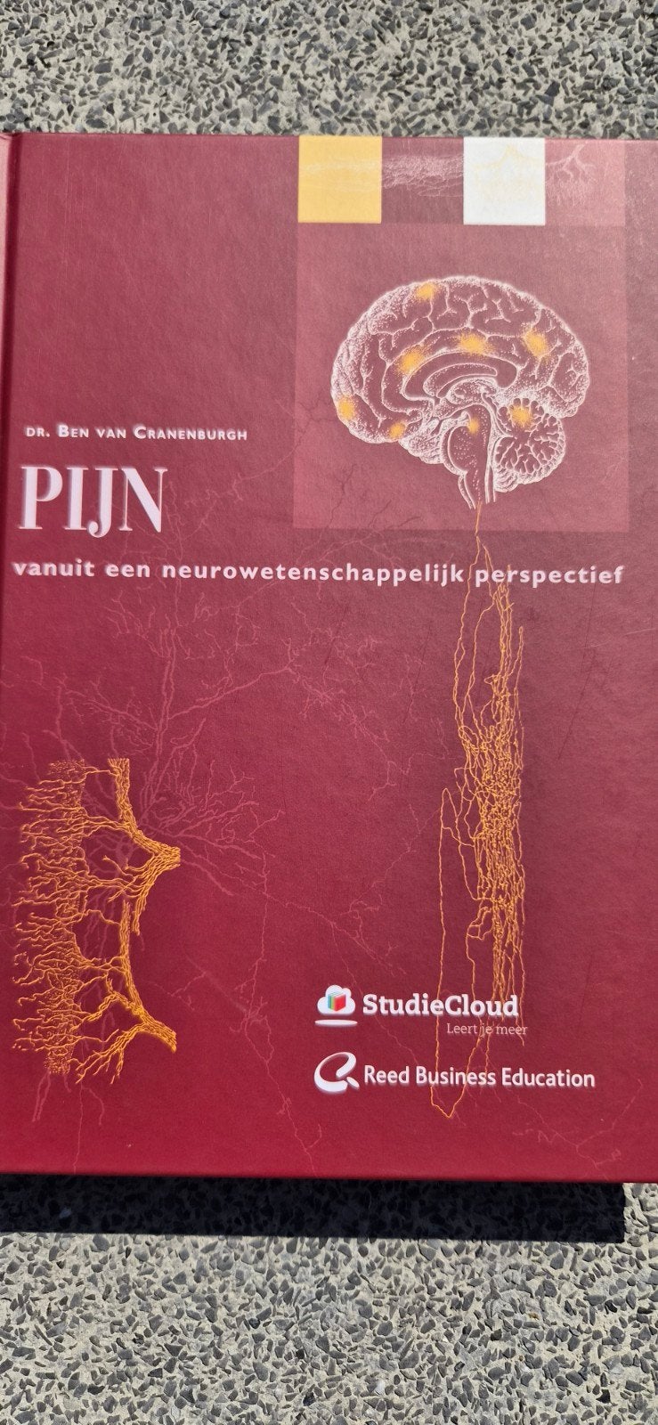 Pijn vanuit een neurowetenschappelijk perspectief, Boeken, Dr. Ben van Cranenburgh, Zo goed als nieuw, Beta, HBO