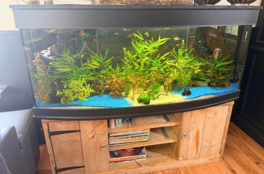 Gratis !!!!!!, Dieren en Toebehoren, Vissen | Aquaria en Toebehoren, Zo goed als nieuw, Gevuld zoetwateraquarium, Ophalen