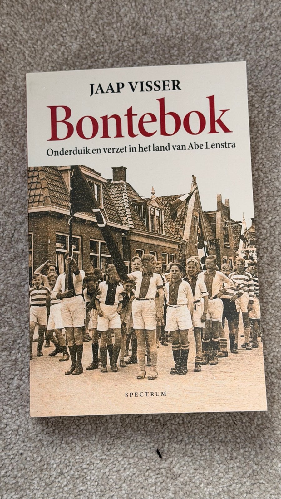 Bontebok: Onderduik en verzet in het land van Abe Lenstra, Ophalen of Verzenden, Tweede Wereldoorlog, Zo goed als nieuw, Algemeen