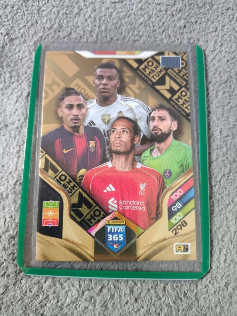 Cards FIFA PANINI, Ophalen of Verzenden, Zo goed als nieuw, Meerdere kaarten