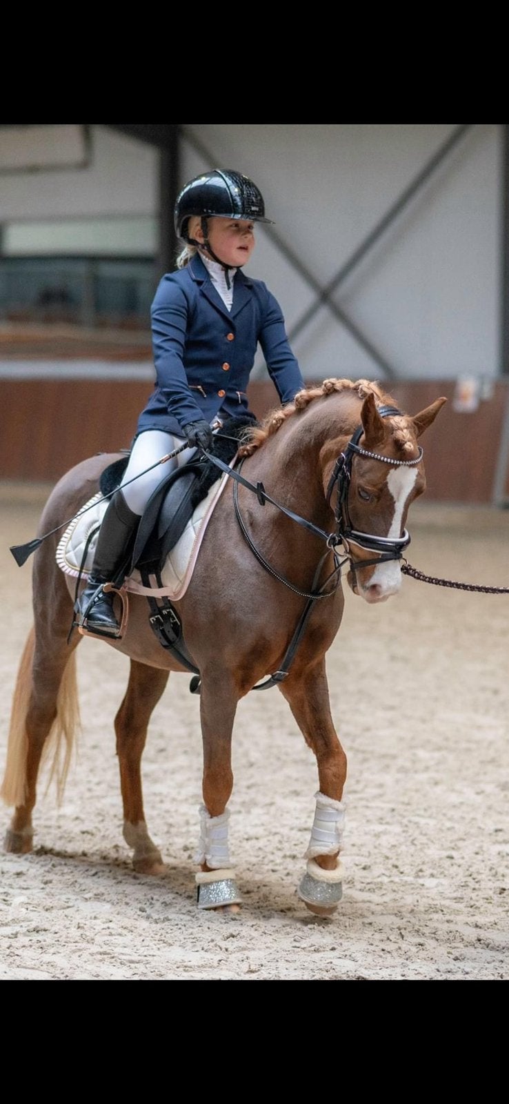 5 jarige welsh merrie, Dieren en Toebehoren, Pony's, Merrie, 3 tot 6 jaar, B pony (1.17m tot 1.27m), Recreatiepony