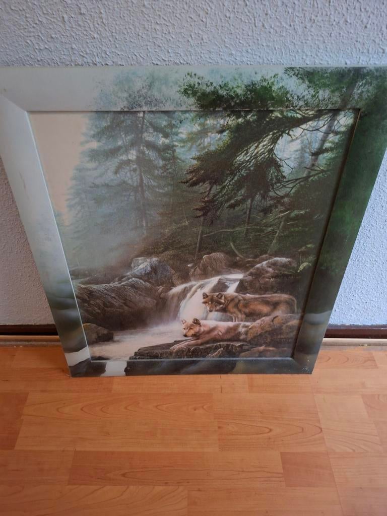 Mooi Wolf Schilderij met 2 Wolven, Ophalen, Dier
