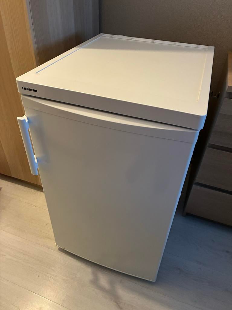 Liebherr TP 1424-21 Koelkast met Vriesvak - Energiezuinig, Witgoed en Apparatuur, Koelkasten en IJskasten, Ophalen, Minder dan 85 cm