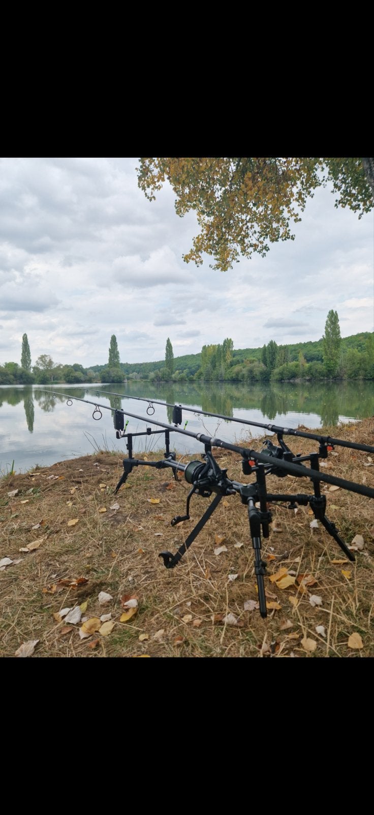 Avidcarp rodpod, Ophalen of Verzenden, Nieuw