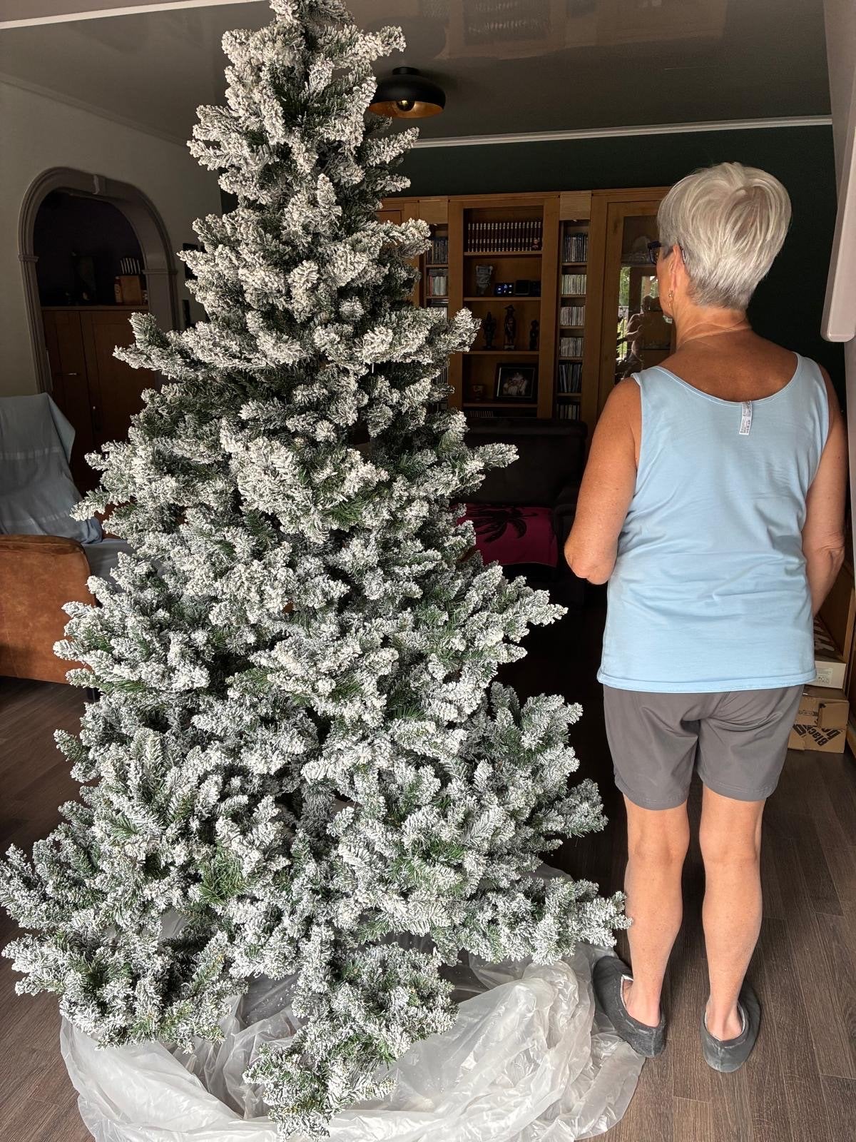 Kerstboom, Diversen, Kerst, Ophalen