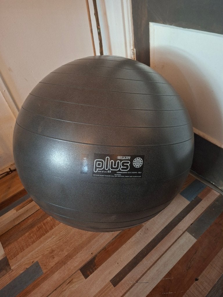 Gymnic Plus Fitnessbal - Grijs (65 cm), Ophalen of Verzenden, Gebruikt, Buik, Fitnessbal