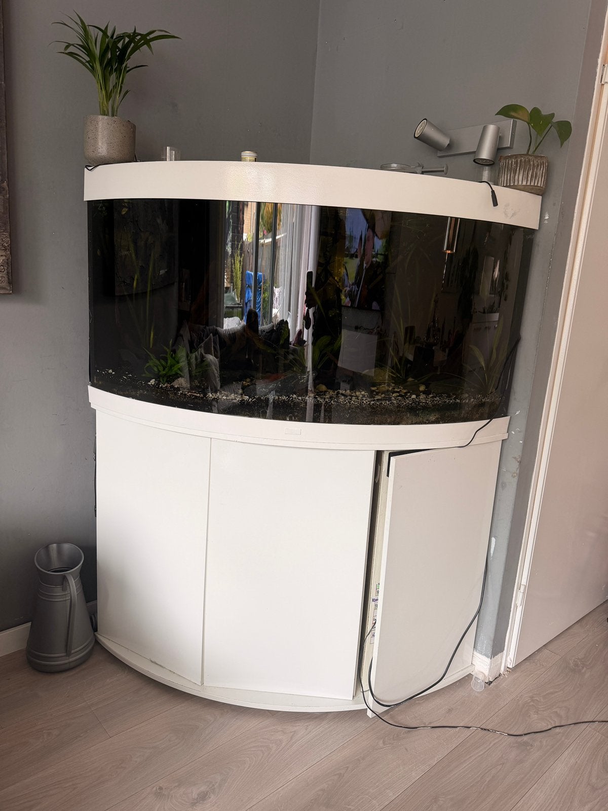 Compleet Wit Juwel 350 liter Trigon hoek aquarium, Dieren en Toebehoren, Vissen | Aquaria en Toebehoren, Ophalen, Inclusief vissen