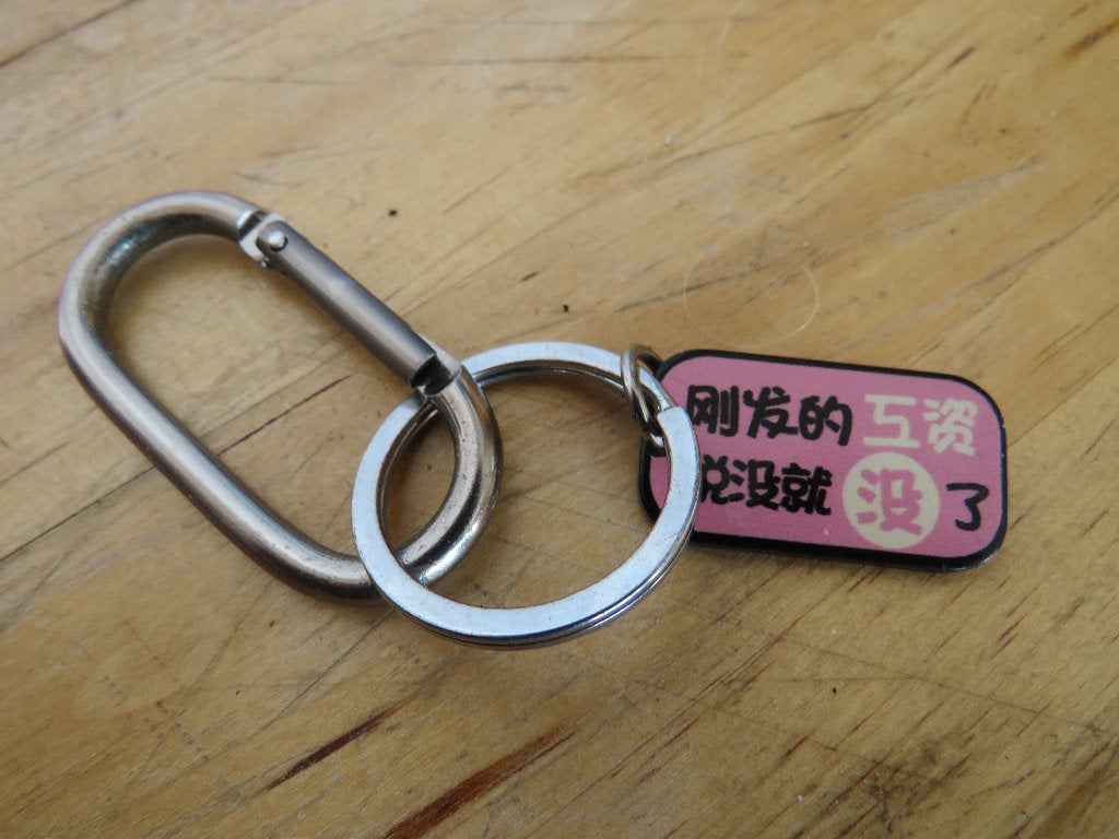 chinese tekst mijn net ontvangen salaris is zomaar verdwenen, Ophalen of Verzenden, Gebruikt, Overige typen