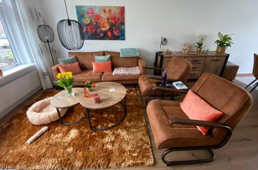 2.5 Zits bank en stoelen, kleur Cognac., Ophalen, Zo goed als nieuw