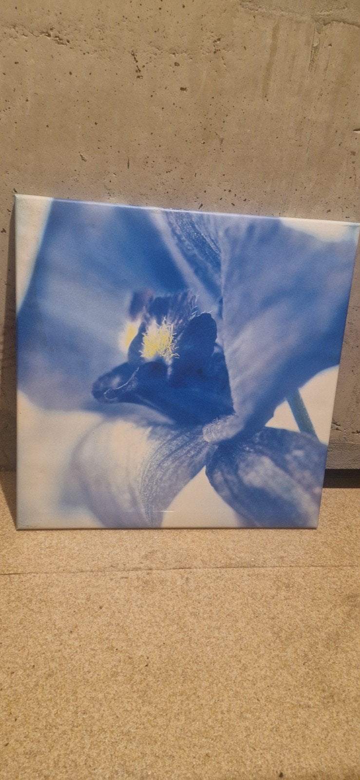Canvas schilderij blauwe bloem - Modern en sfeervol, Ophalen, Minder dan 50 cm, Zo goed als nieuw, Schilderij