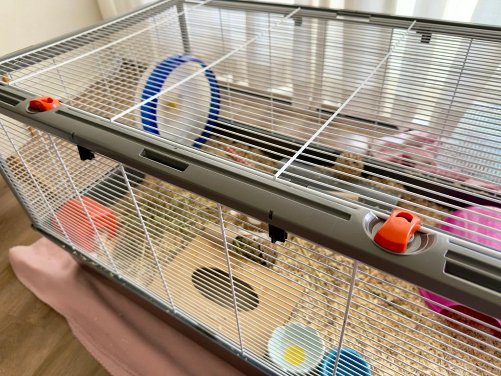 Nieuwe ferplast criceti 100 hamsterkooi, Nieuw, 75 tot 110 cm, Ophalen, Minder dan 60 cm