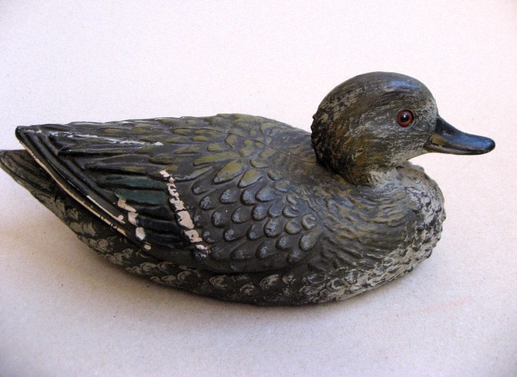 Italiaanse lokeend, wintertaling,  Sport Plastic, Ophalen of Verzenden