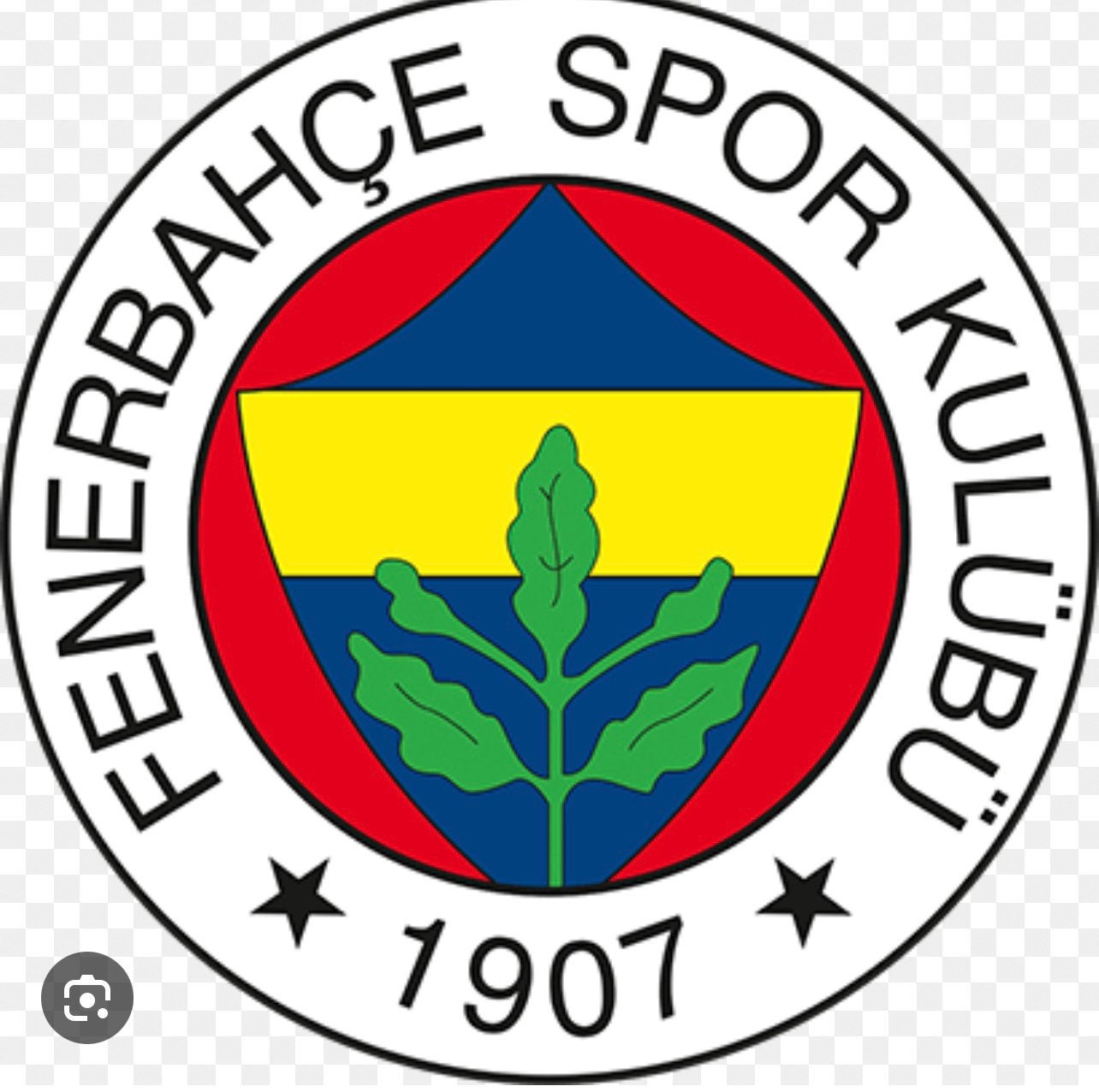 Fenerbahce - besiktas, Tickets en Kaartjes
