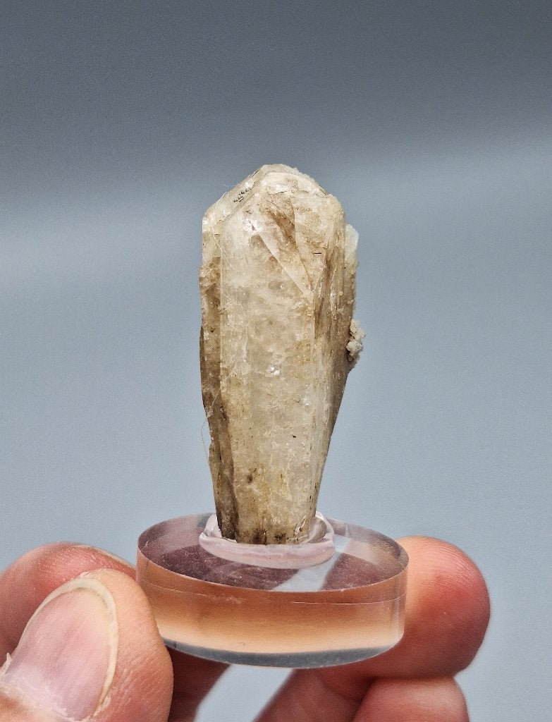 Danburiet - San Luis Potosi, Mexico, Ophalen of Verzenden, Mineraal