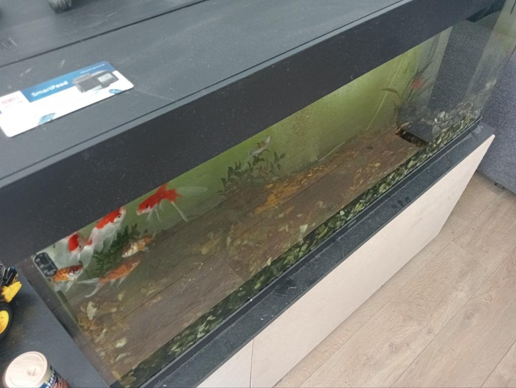 Juwel Aquarium 120x40x50, Ophalen, Zo goed als nieuw, Leeg aquarium