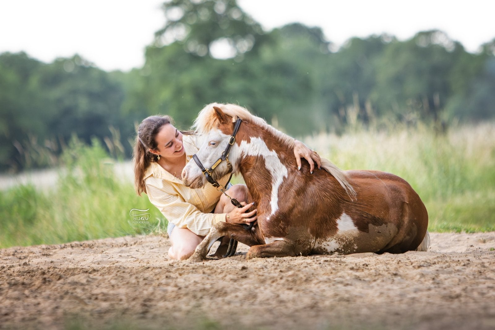 Gezocht! verzorger voor mini paard, Ophalen of Verzenden