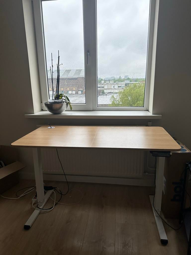 Flexispot E1 Zit-Sta Bureau 120x60 Eiken Wit Frame, Ophalen, Zit-sta bureau, Elektrisch, 120 cm