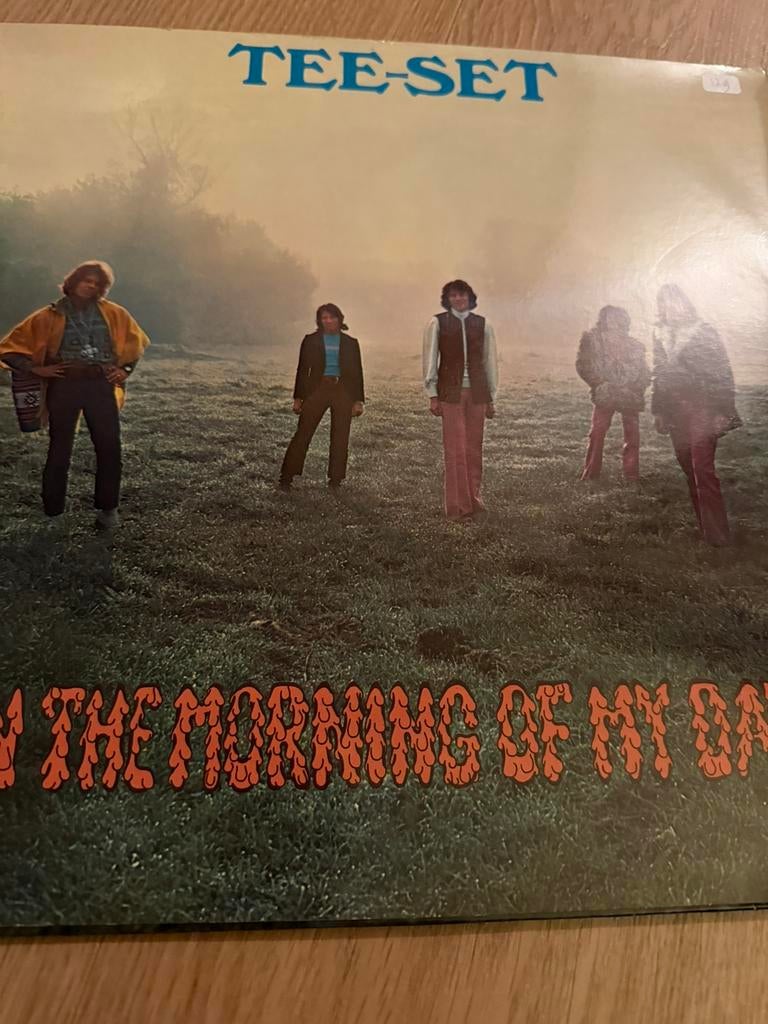 Lp Tee-Set – In The Morning Of My Days, Ophalen of Verzenden, Zo goed als nieuw, 12 inch, Poprock